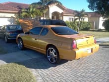 02 sexy yellow monte SS