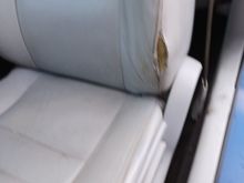 Seat rip - fixed now.