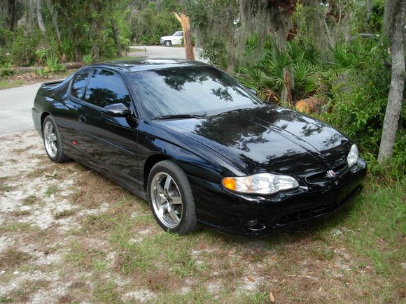 One of my past beauties.