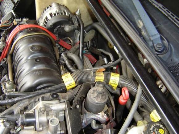 rear area where the plug should be...think I can kinda see it back there but not what it is attached to...ggrrrr
