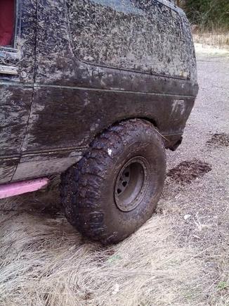 39.5s stuffed