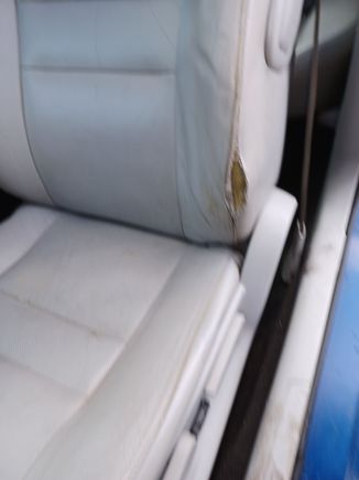 Seat rip - fixed now.