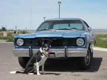 Before she was sent out to get painted.