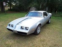 Platnum Sliv with subdued stripe