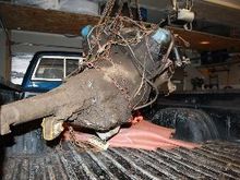 She's a beauty! Or will be hopefully by the time I'm done.