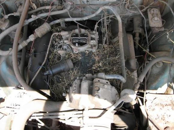 383 Engine. Missing Air filter.