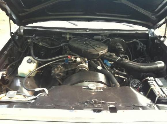 239 CI V6 (or 3.9 to you kids)