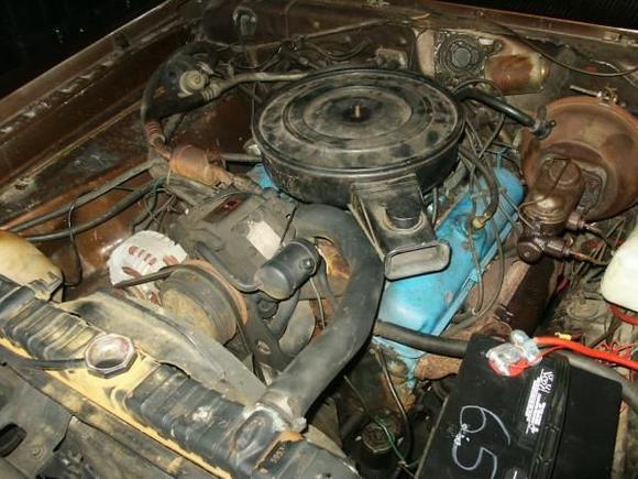 The first look after towing it home.