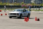 Mustang Autocross Action
