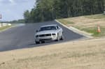 Mustang on the Track