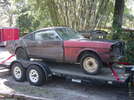 65 Fastback project
