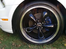 Calipers painted with Ford Blue Duplicolor paint