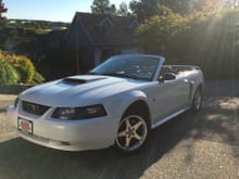 2003 GT Convertible - looks like it enjoys soaking up the summer rays.