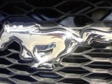 Front Mustang Emblem