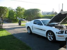 Steven's 2008 Mustang GT/CS