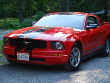 My new stang