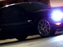 2010 Mustang GT Pics