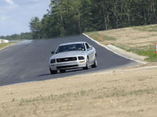 Mustang on the Track