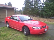 My Mustang in its glory days!