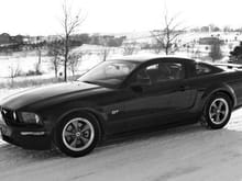 Garage - Mustang