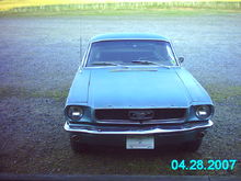 Mustang now 3