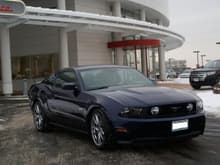 My 1st Stang