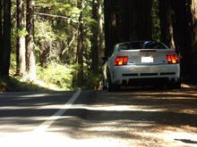 Lucas Valley redwoods, Marin County.

A beautiful, but again, all too short stretch of road that is lined with wonderful 100'  tall redwood trees and wonderfully positive-cambered turns. George Lucas used this forrest to film the Speeder-Bike chase scenes in Star Wars®
