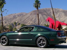 Plam Desert Mustangs a pair!