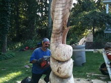 12 Foot Cobra hand carved on my LAWN
