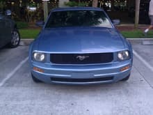 the front of the 2005 ford mustang  windveil blue
