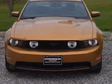 2010 Mustang GT Premium