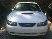 Mustang1