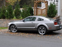 2008 Mustang GT 500
