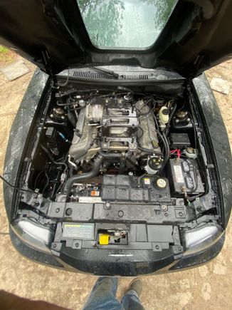 Detailing under way…