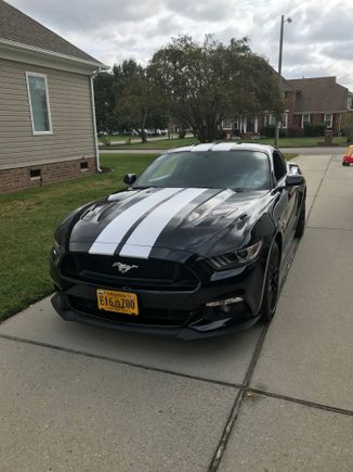 Had 65,66,83,86,05, 2017 gt Im back