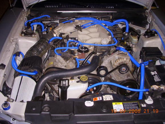 I tried to make underneath the hood look a little nicer with the blue tubing