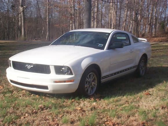 2006 Mustang as born