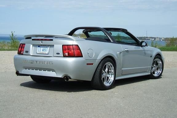 Mustang 036