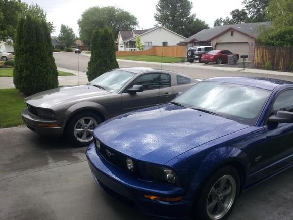 Ponies in the stable....