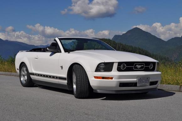 Stang June 13s