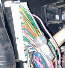 What wires are going into this crimped bellcap?