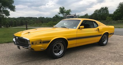 1969 Shelby Mustang GT350, Hertz Edition