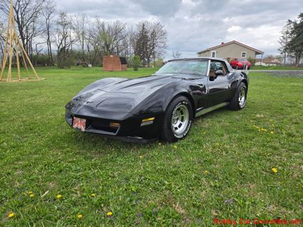 1981 Black Corvette For Sale