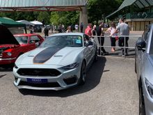 Nice new Mustang on their stand.