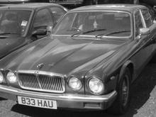my pld jag rip