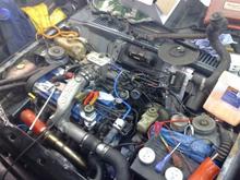 Another up and coming Feista mk2.....
          fwd 2.0zetec-turbo,,mtc