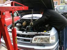 cossie1 026