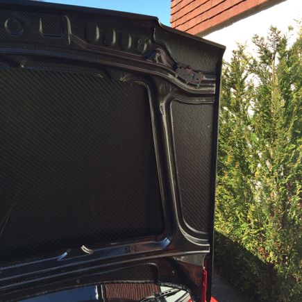 Inside of the carbon bonnet.