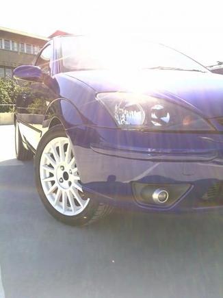 Focus ST170 Imperial Blue