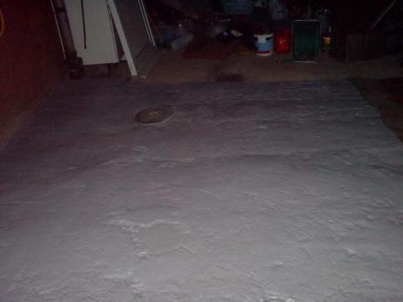 DSC00350